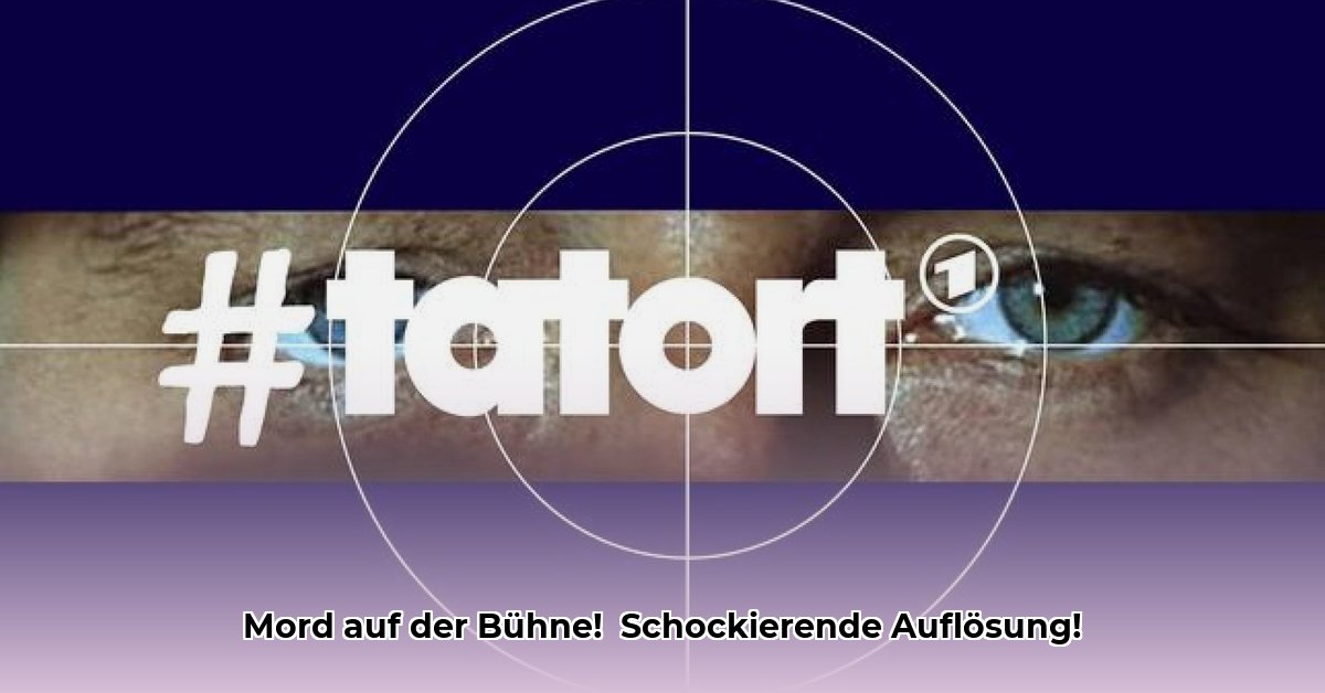 tatort-bei-auftritt-mord